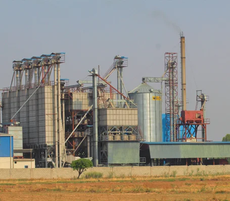 Patran Foods processing facility in Patran, Punjab