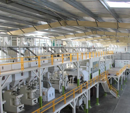 Rice processing line at Patran Foods
